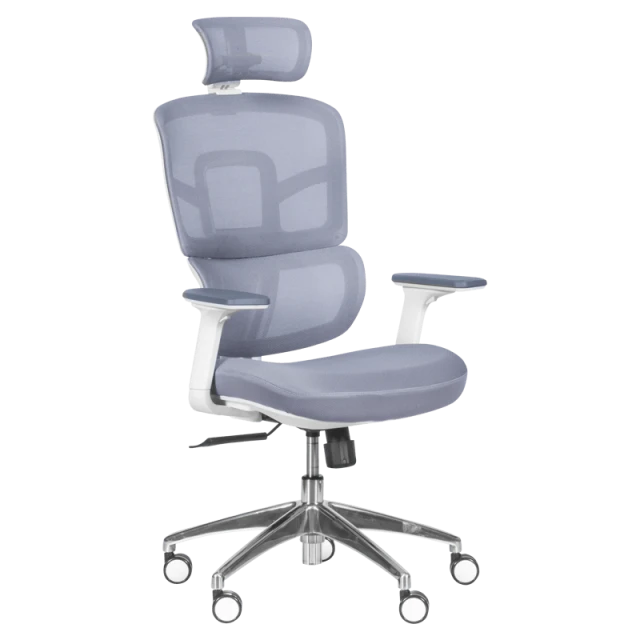 Ergonomic chair Carmen 7579 - gray