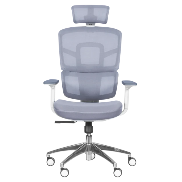 Ergonomic chair Carmen 7579 - gray