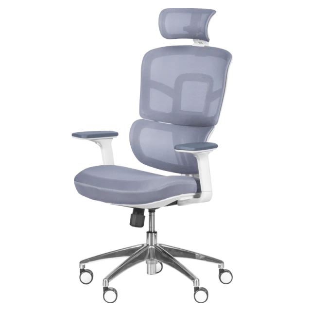 Ergonomic chair Carmen 7579 - gray