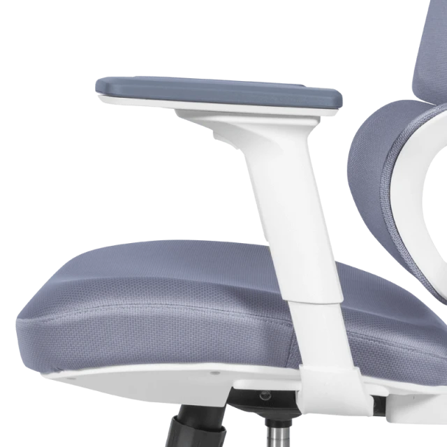Ergonomic chair Carmen 7579 - gray
