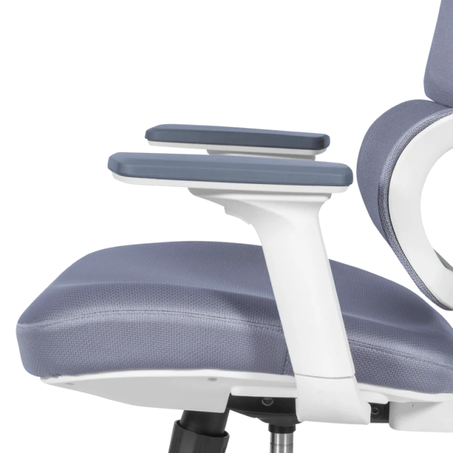 Ergonomic chair Carmen 7579 - gray