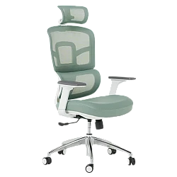 Ergonomic chair Carmen 7579 - green