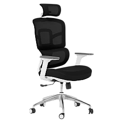 Ergonomic chair Carmen 7579 - black