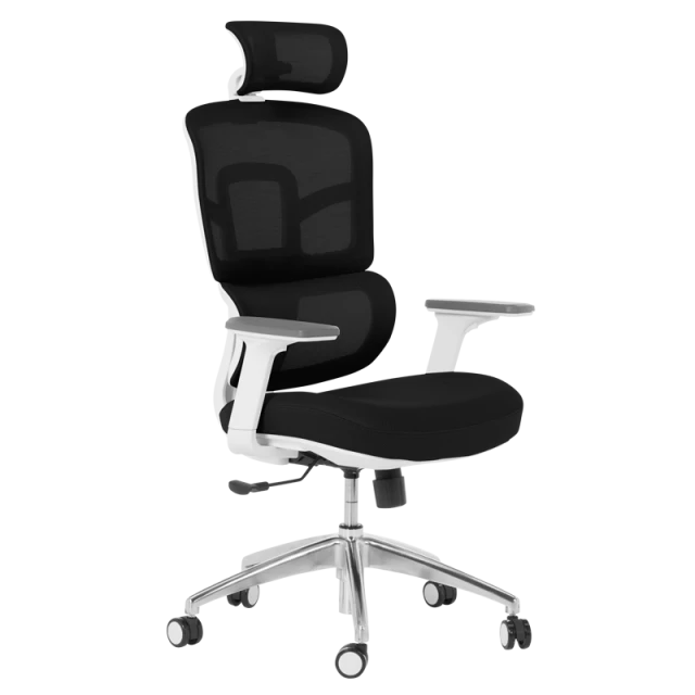 Ergonomic chair Carmen 7579 - black