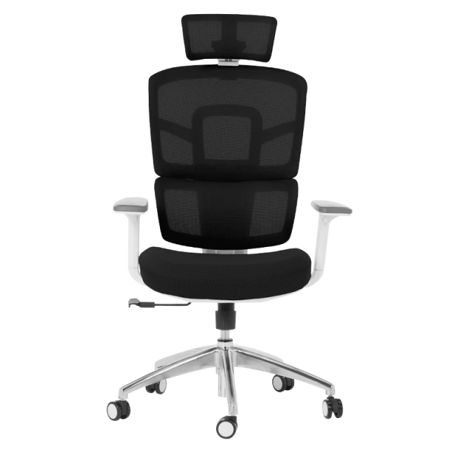 Ergonomic chair Carmen 7579 - black