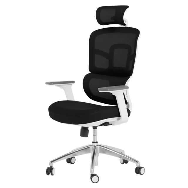 Ergonomic chair Carmen 7579 - black