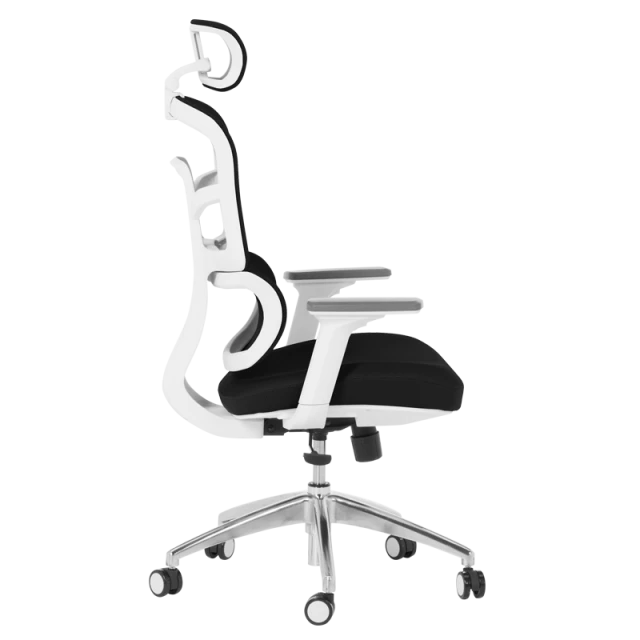 Ergonomic chair Carmen 7579 - black