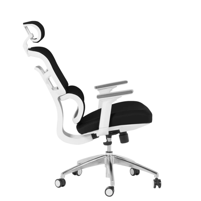 Ergonomic chair Carmen 7579 - black