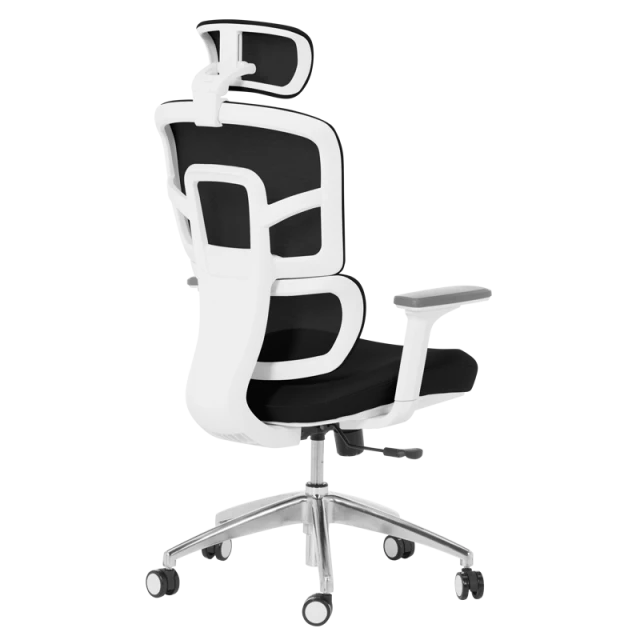 Ergonomic chair Carmen 7579 - black