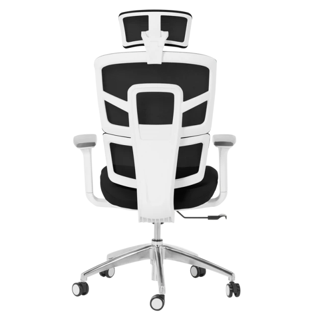 Ergonomic chair Carmen 7579 - black