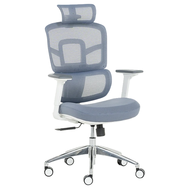 Ergonomic chair Carmen 7579 - blue
