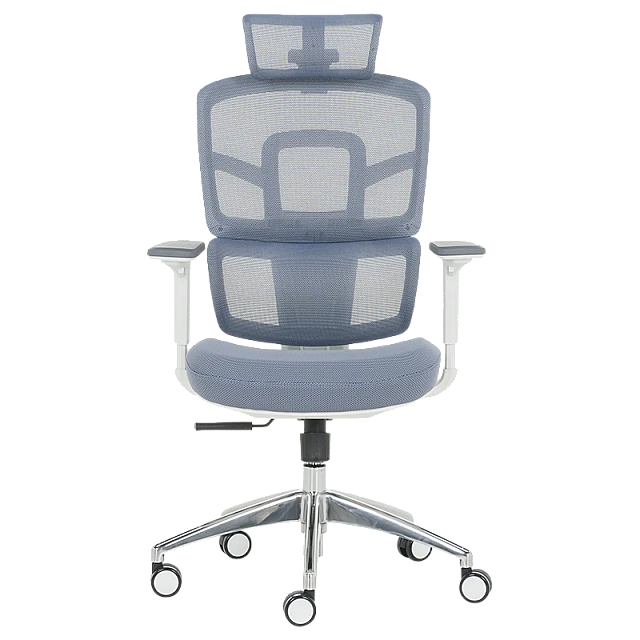 Ergonomic chair Carmen 7579 - blue