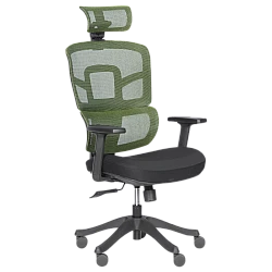 Ergonomic chair Carmen 7582 - green-black