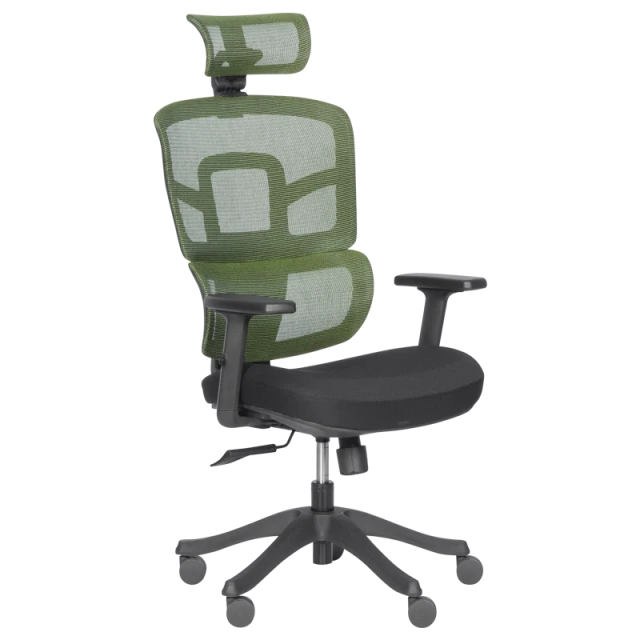 Ergonomic chair Carmen 7582 - green-black