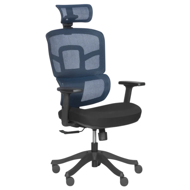 Ergonomic chair Carmen 7582 - blue-black