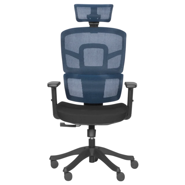 Ergonomic chair Carmen 7582 - blue-black