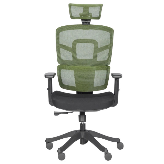 Ergonomic chair Carmen 7582 - green-black