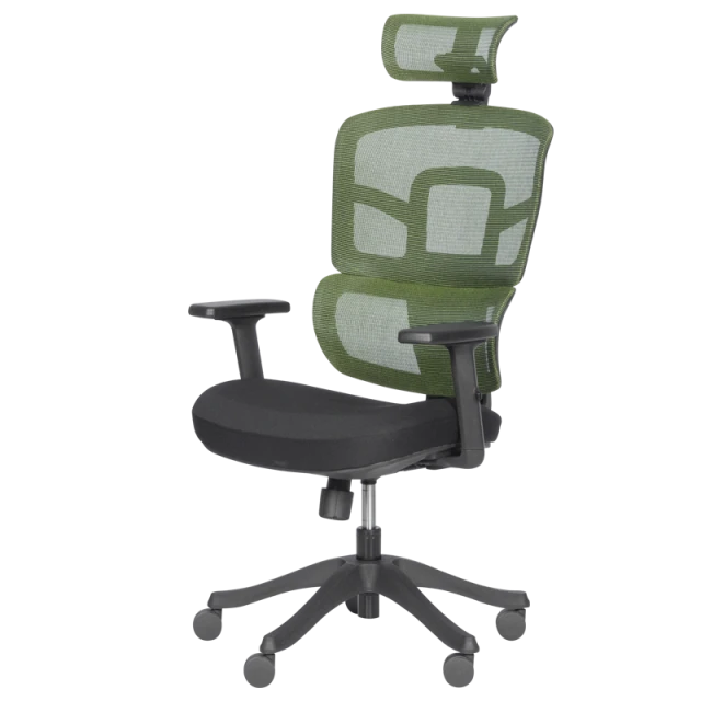 Ergonomic chair Carmen 7582 - green-black