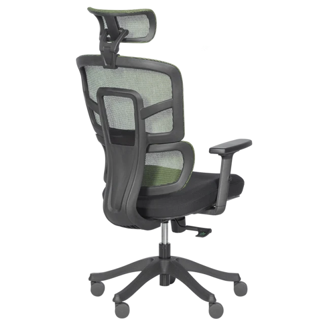 Ergonomic chair Carmen 7582 - green-black