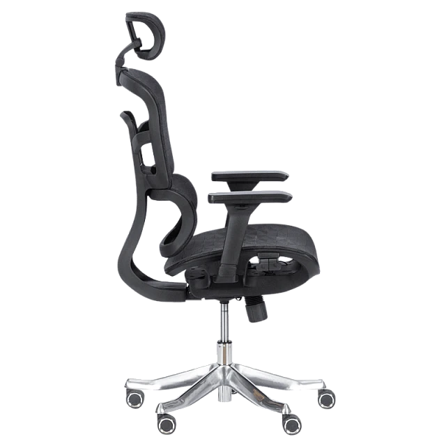 Ergonomic chair Carmen 7583 - black