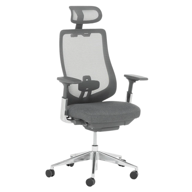 Ergonomic chair BADEN - gray