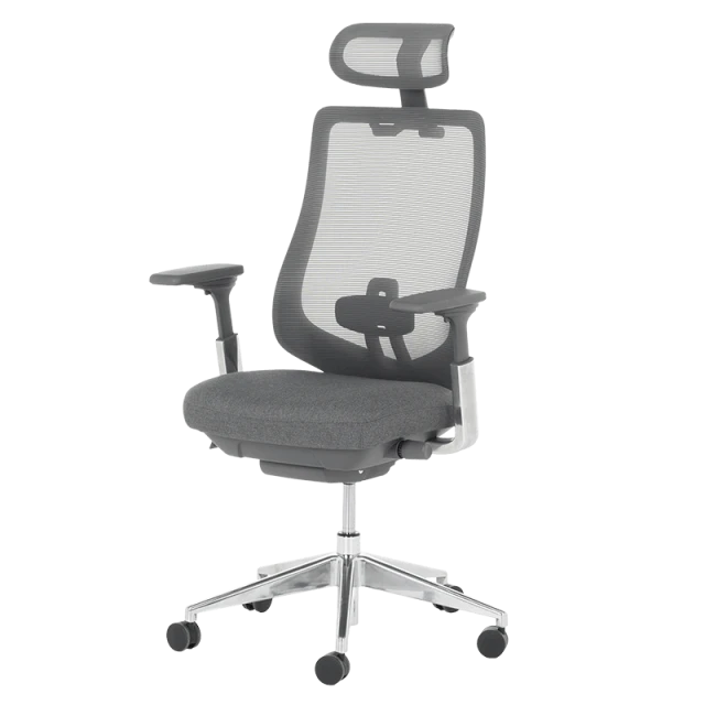 Ergonomic chair BADEN - gray