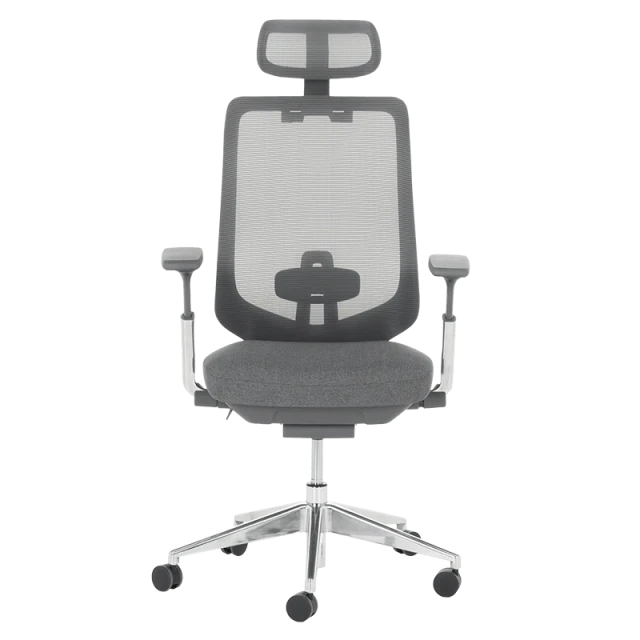 Ergonomic chair BADEN - gray