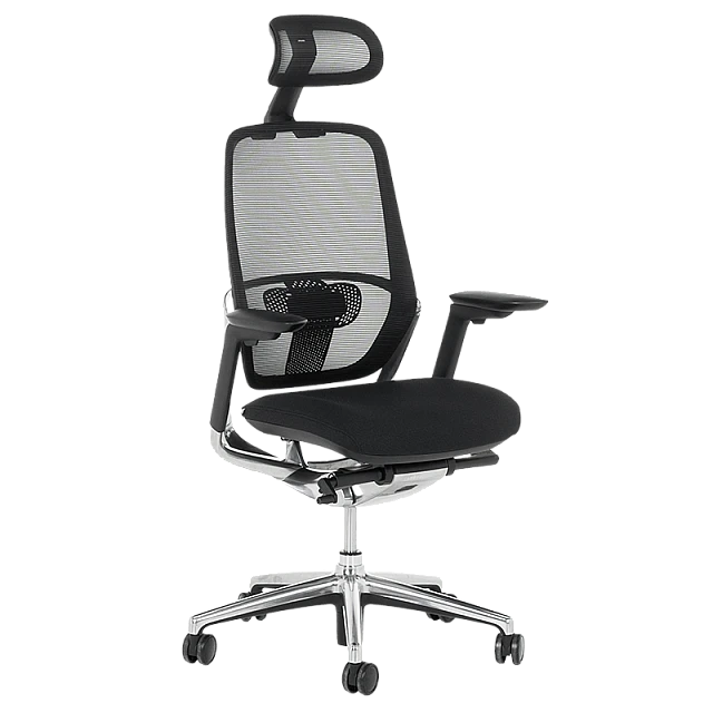 VAUD ergonomic chair - black