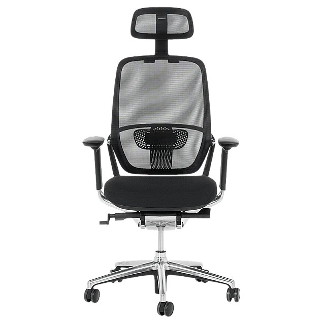 VAUD ergonomic chair - black