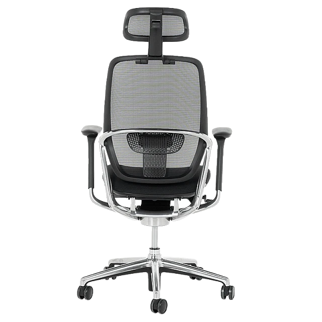 VAUD ergonomic chair - black