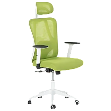 Ergonomic chair Carmen 7588 - green