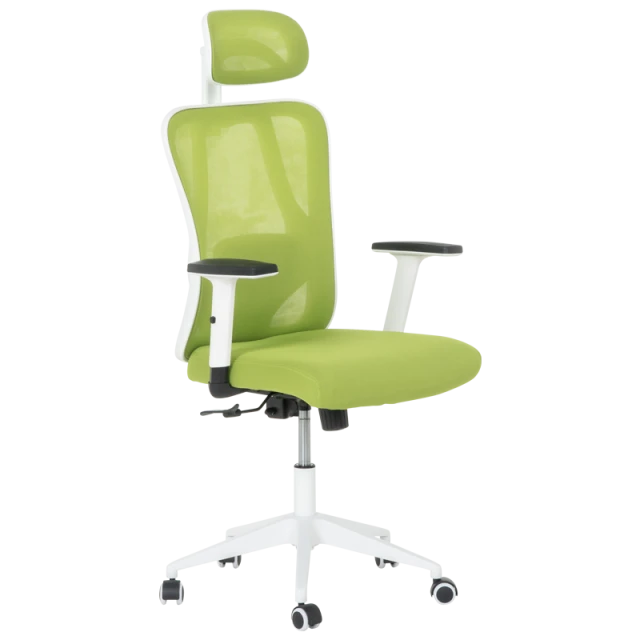 Ergonomic chair Carmen 7588 - green