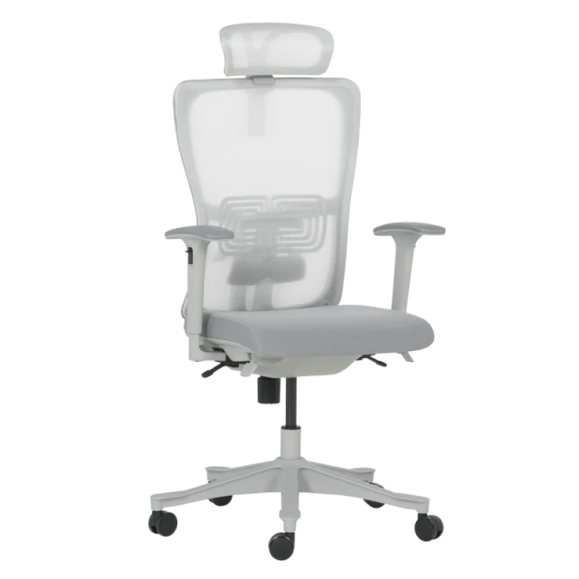 Ergonomic chair BREVES - gray