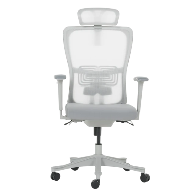 Ergonomic chair BREVES - gray
