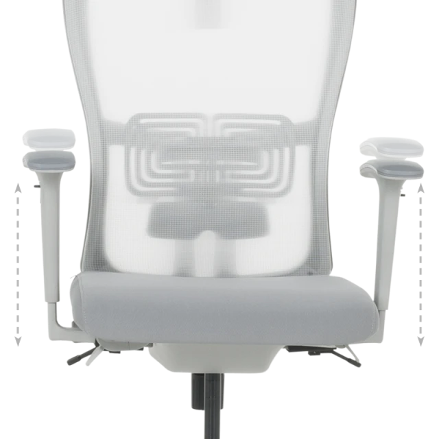 Ergonomic chair BREVES - gray
