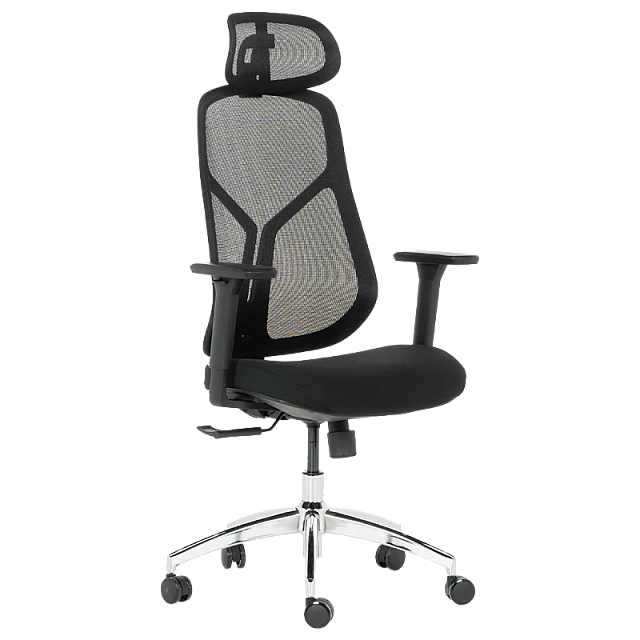Ergonomic chair Carmen 7901 - black