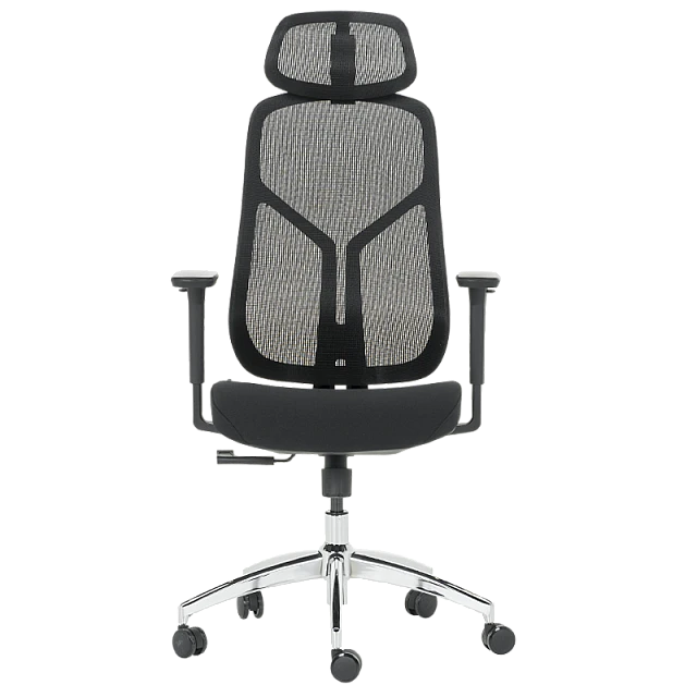 Ergonomic chair Carmen 7901 - black