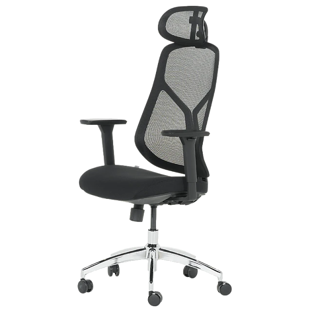 Ergonomic chair Carmen 7901 - black