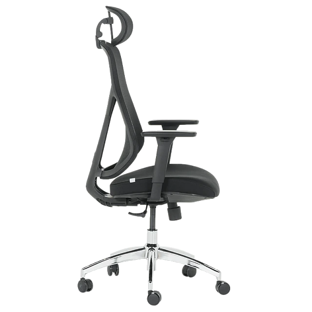 Ergonomic chair Carmen 7901 - black