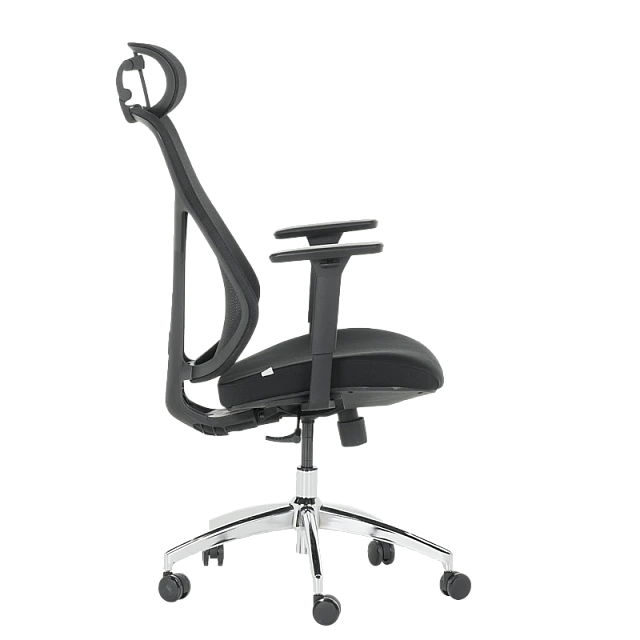 Ergonomic chair Carmen 7901 - black