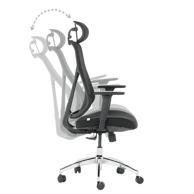 Ergonomic chair Carmen 7901 - black