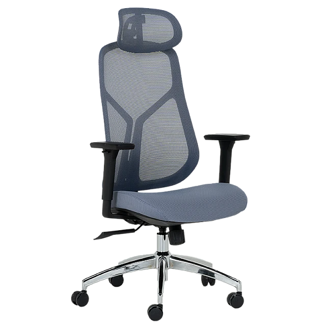 Ergonomic chair Carmen 7901 - blue