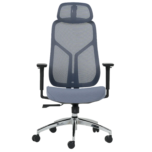 Ergonomic chair Carmen 7901 - blue