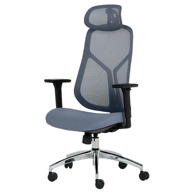 Ergonomic chair Carmen 7901 - blue