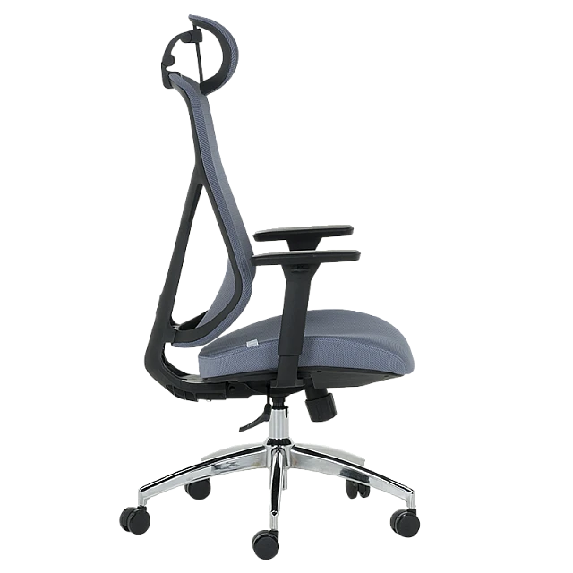 Ergonomic chair Carmen 7901 - blue