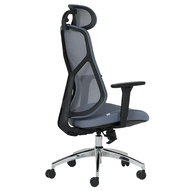 Ergonomic chair Carmen 7901 - blue