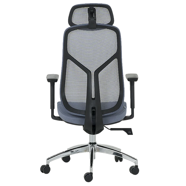 Ergonomic chair Carmen 7901 - blue