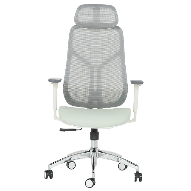 Ergonomic chair Carmen 7901 W eco-leather - gray-light green