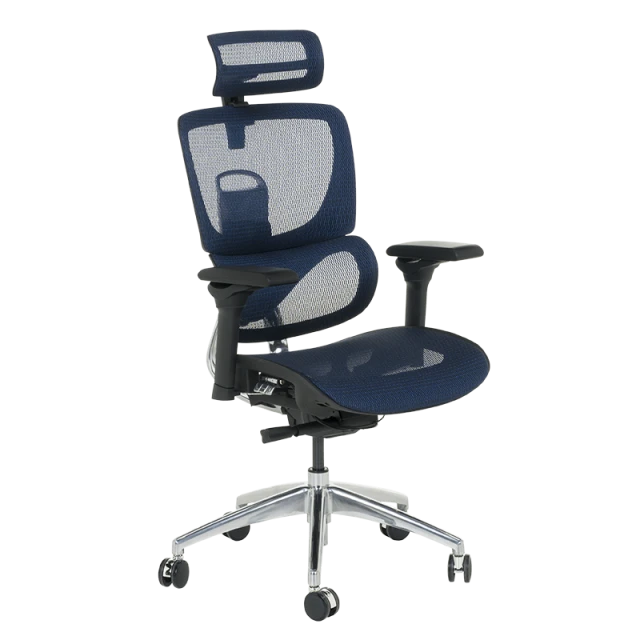 Ergonomic chair CALGARY - blue