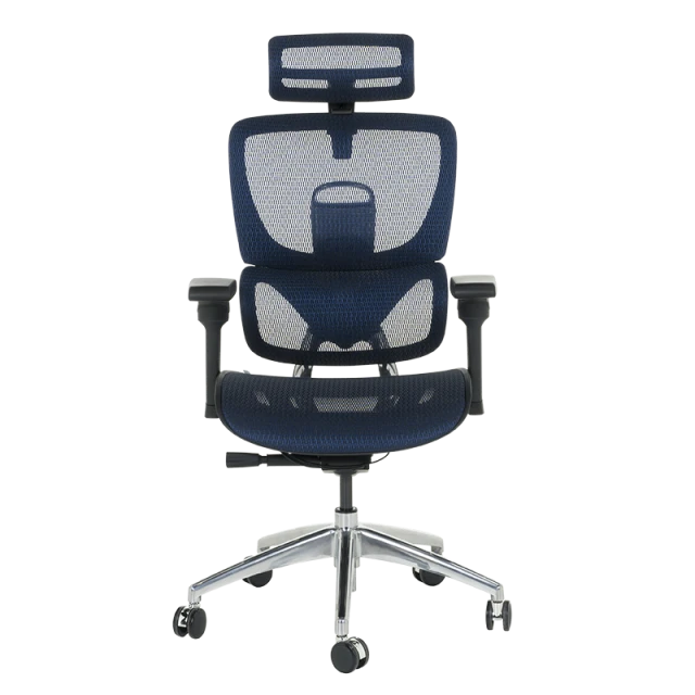 Ergonomic chair CALGARY - blue